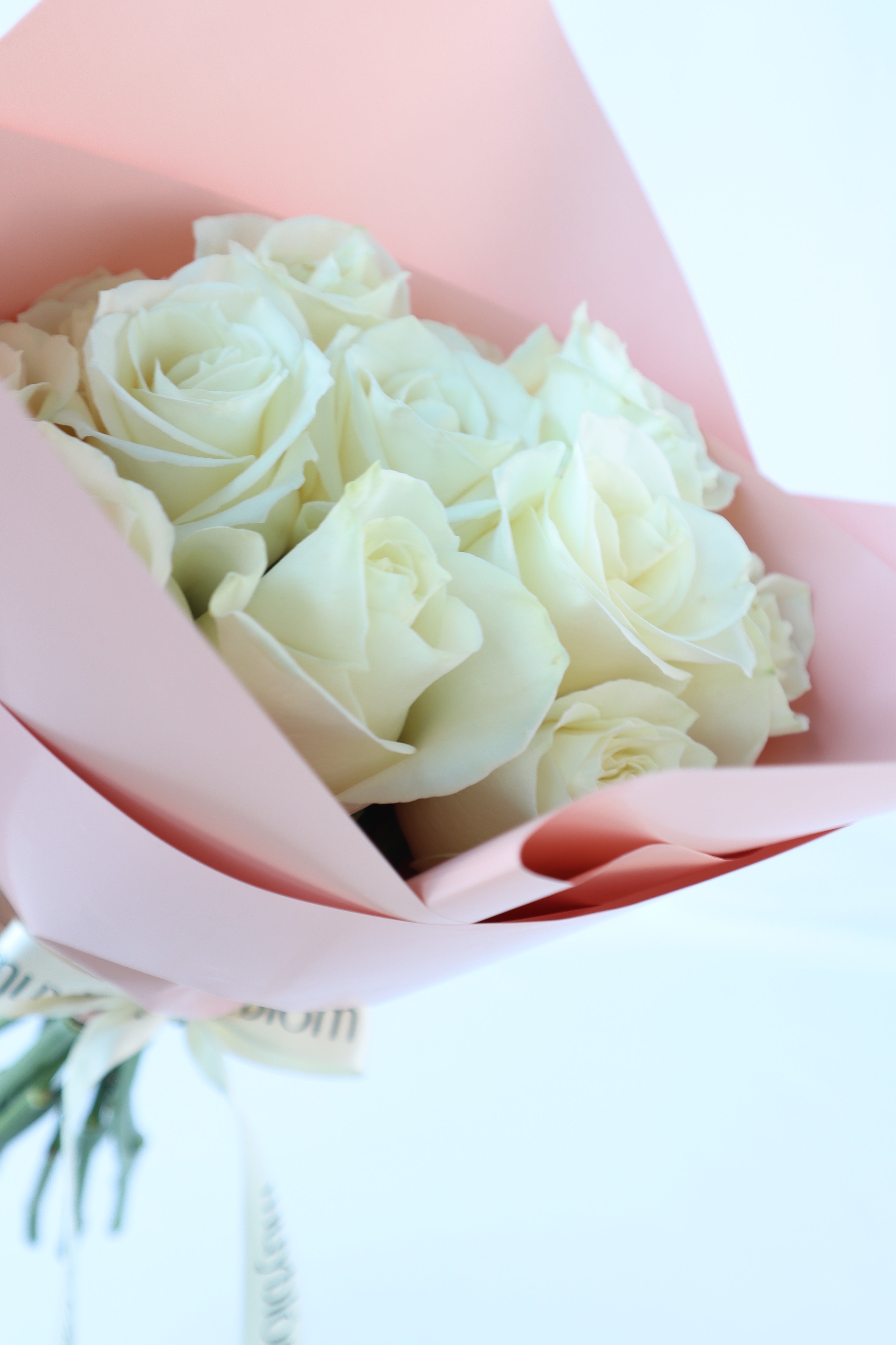 White roses 12