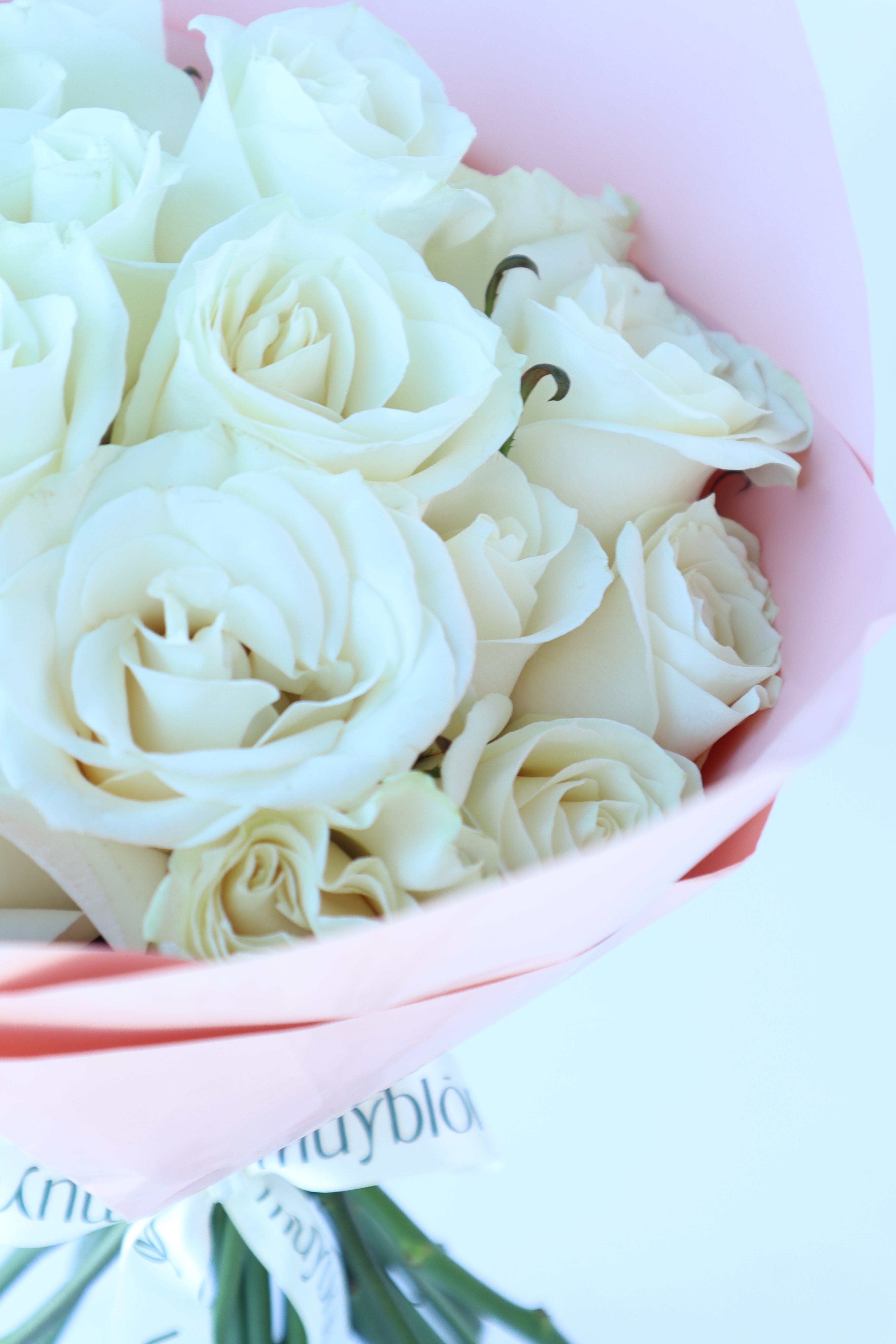 White roses 24